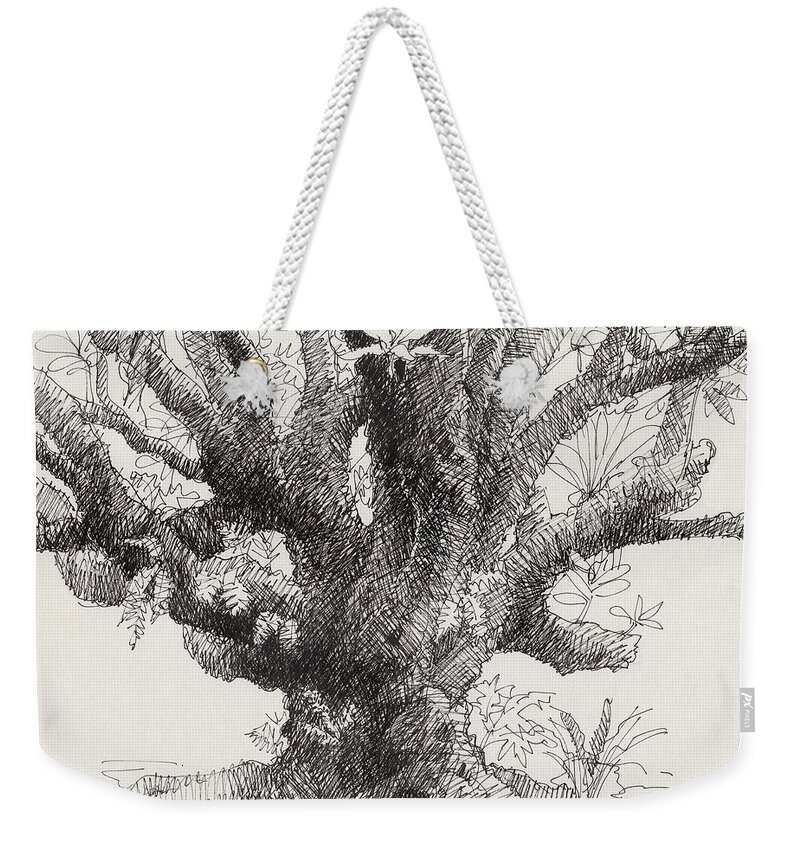Plant Weekender Tote Bag featuring the drawing Barringtonia Tree by Judith Kunzle