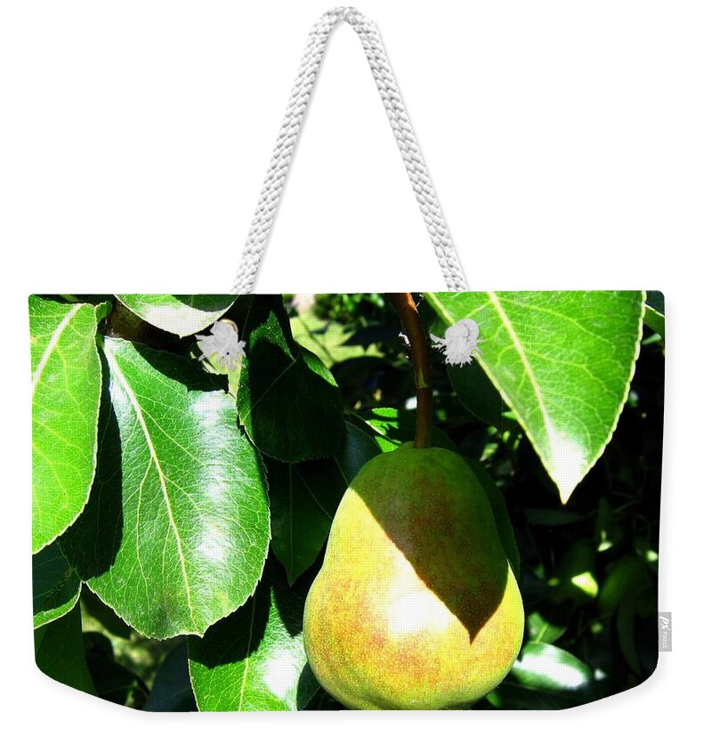 Pear Weekender Tote Bag featuring the photograph Bartlett Pear by Will Borden