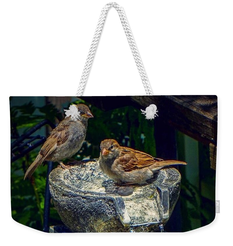  Weekender Tote Bag featuring the photograph Bath time by Kendall McKernon