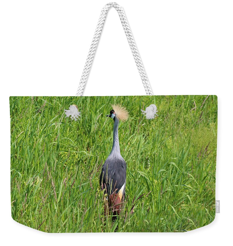East African Crowned Crane Weekender Tote Bag featuring the photograph Baxter by Michiale Schneider