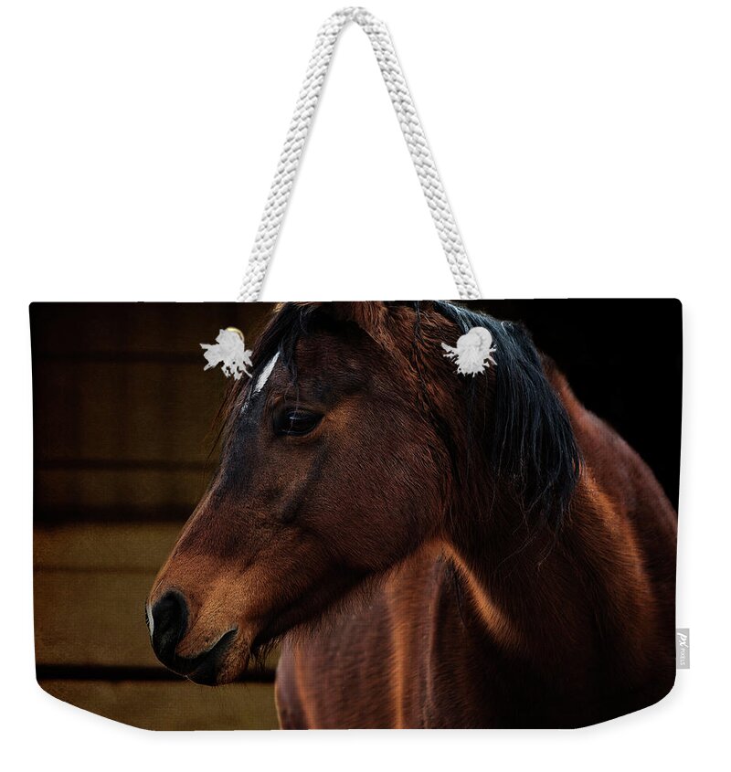 Horse Weekender Tote Bag featuring the photograph Bay Arabian Mare 2 by Karen Slagle
