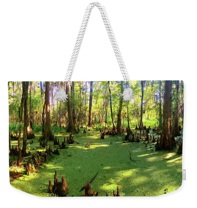 Bayous Weekender Tote Bag featuring the photograph Bayou Country by CHAZ Daugherty