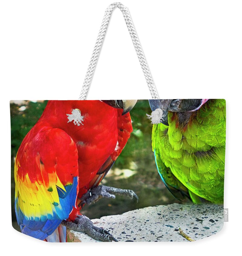 Parrots Weekender Tote Bag featuring the photograph Be My Friend by Jessica Levant