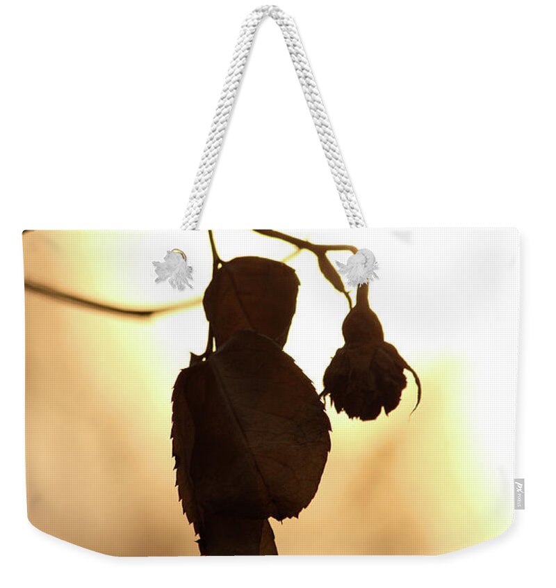 Be Still My Soul Weekender Tote Bag featuring the photograph Be Still My Soul by The Art Of Marilyn Ridoutt-Greene