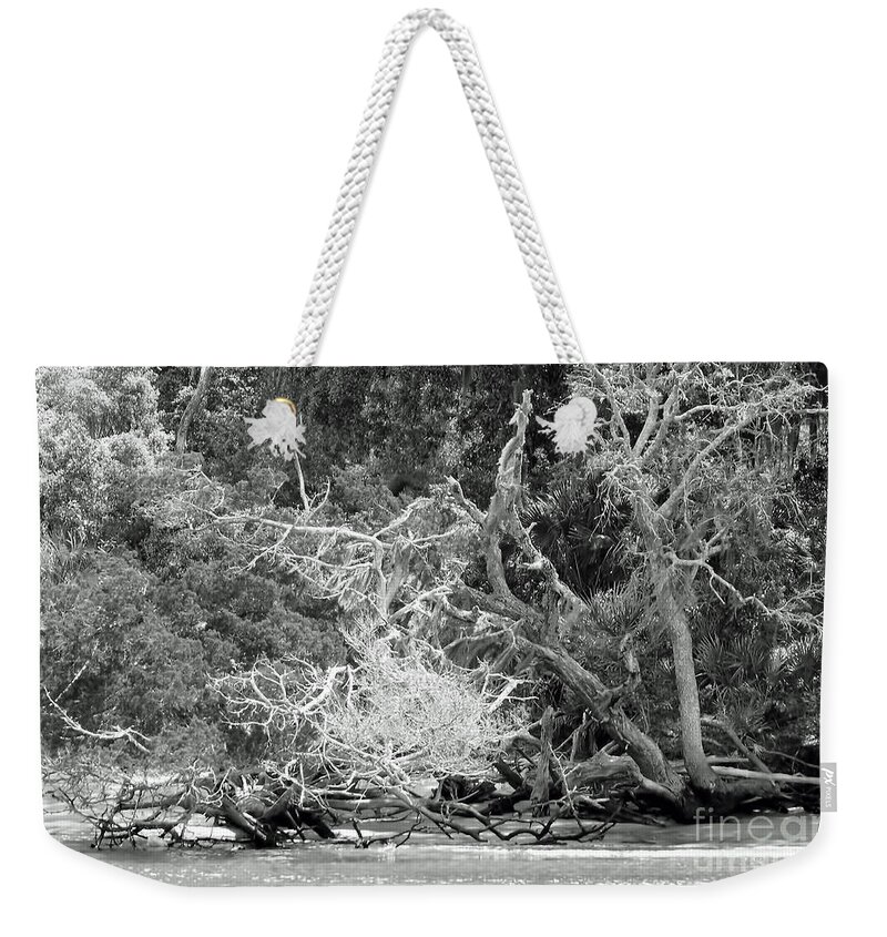Beach Weekender Tote Bag featuring the photograph Beach Bones by D Hackett