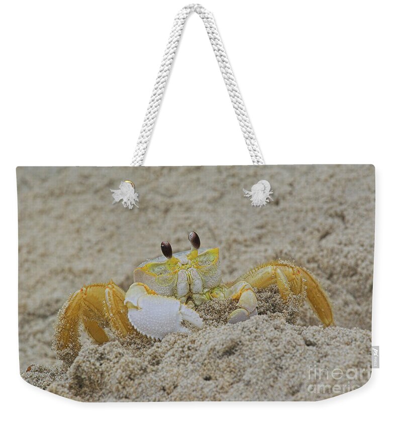 Sand Weekender Tote Bag featuring the photograph Beach Crab in Sand by Randy Steele