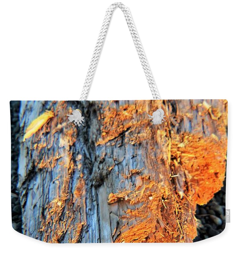 Nature Weekender Tote Bag featuring the photograph Beach Driftwood 3 by Marilyn Alexander