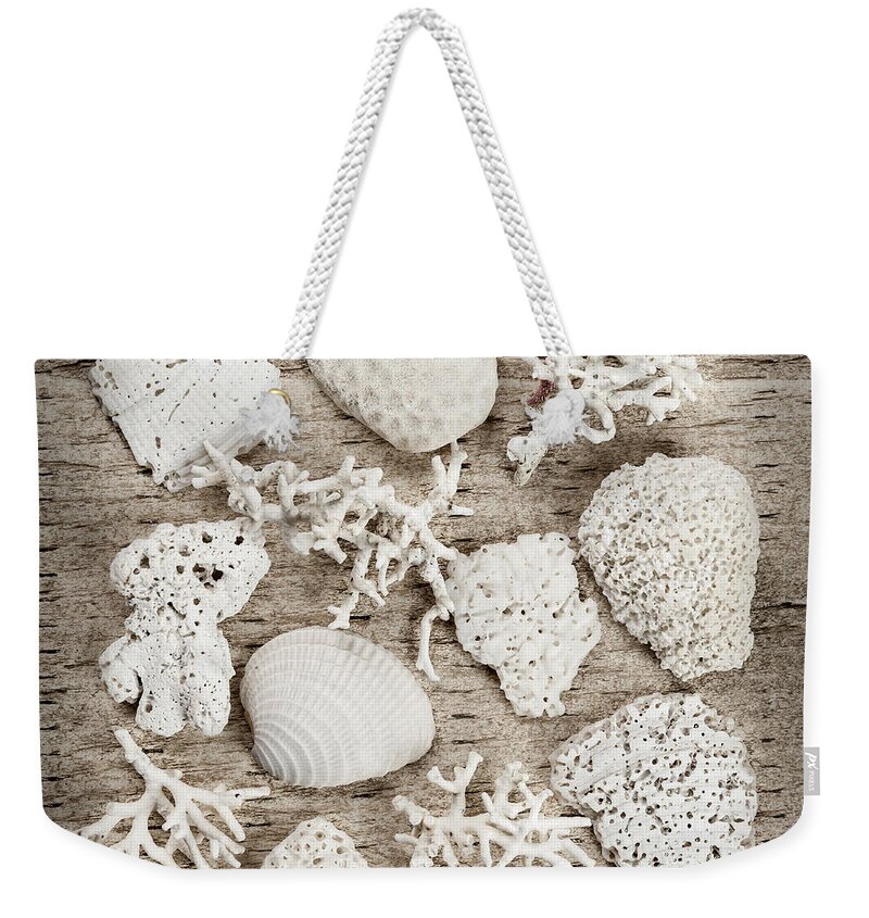 Shell Weekender Tote Bag featuring the photograph Beach finds by Elena Elisseeva