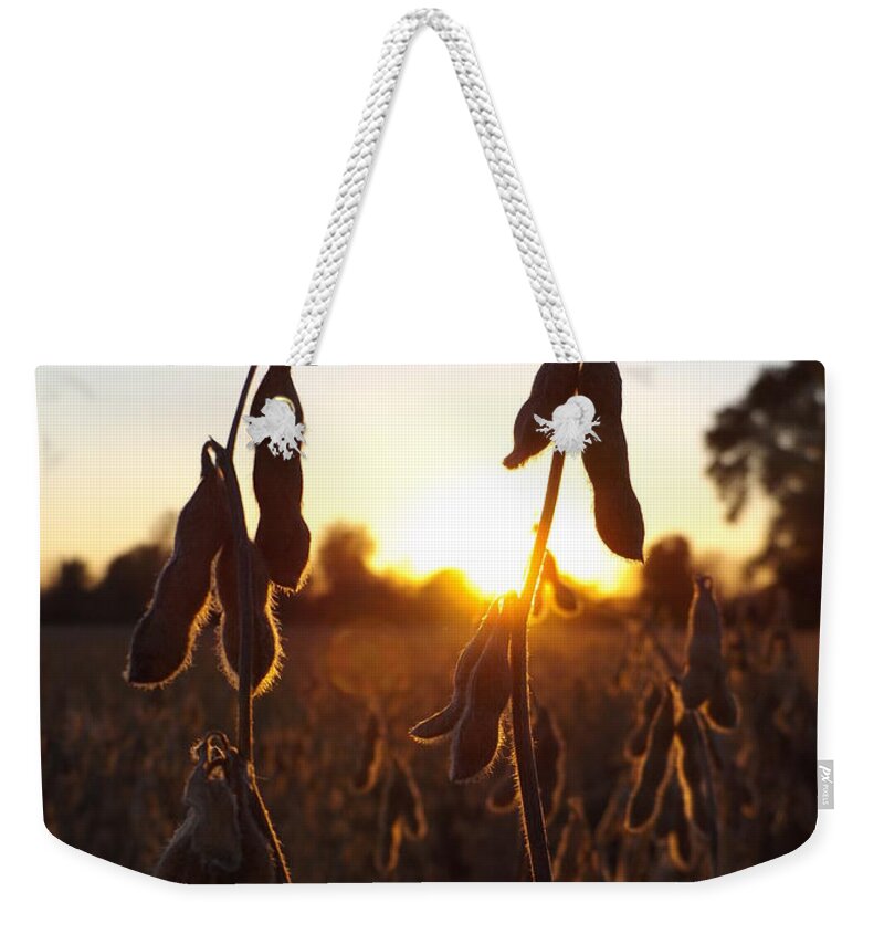 Beans Weekender Tote Bag featuring the photograph Beans at Sunset by Erick Schmidt