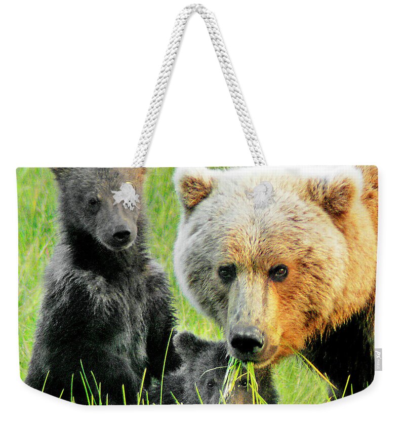 Grizzly Weekender Tote Bag featuring the photograph Bear Family Portraait by Ted Keller