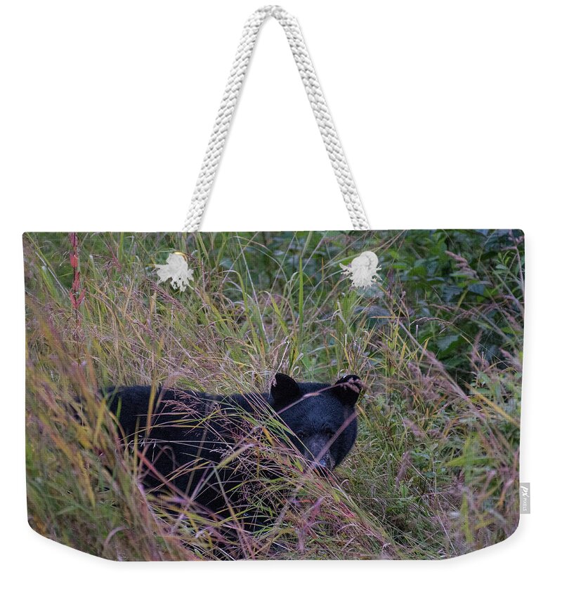 Black Bear Weekender Tote Bag featuring the photograph Bear in the Bush by David Kirby
