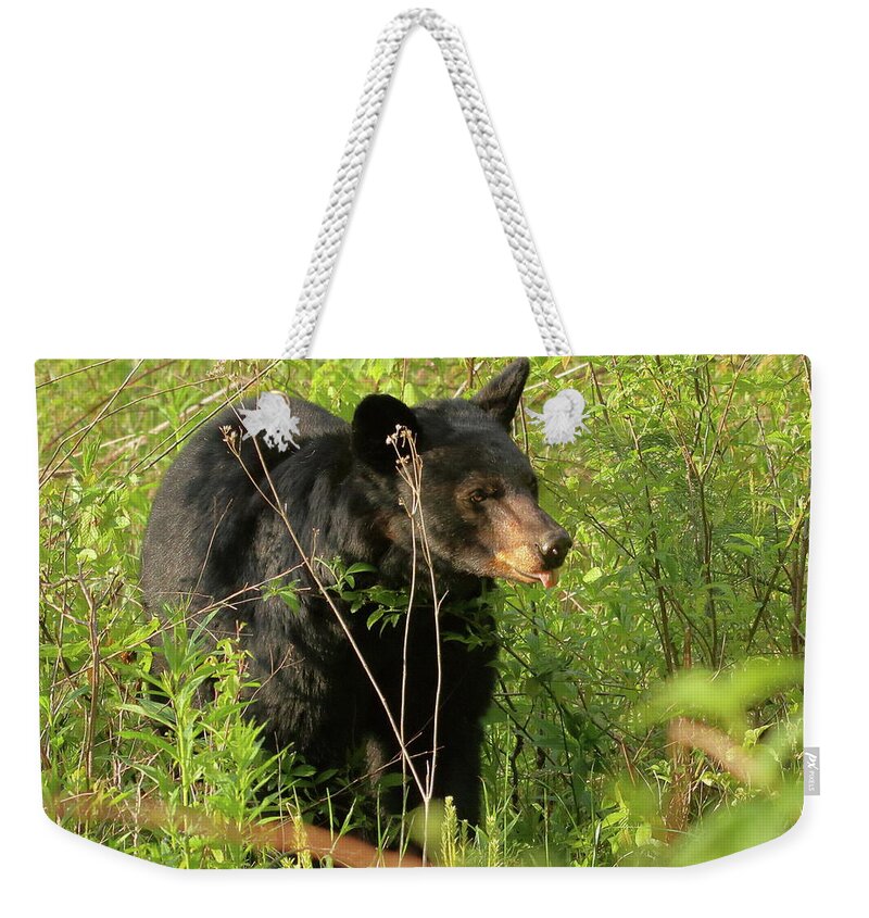 American Black Bear Weekender Tote Bag featuring the photograph Bear in the grass by Coby Cooper