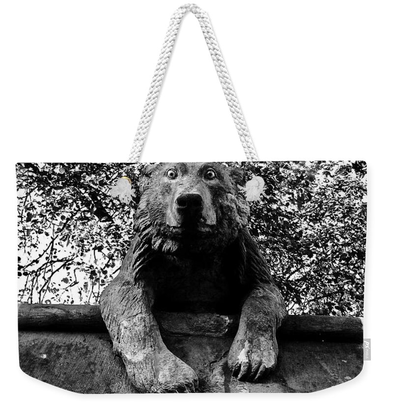 Bear Weekender Tote Bag featuring the photograph Bear on the Wall by Rachel Morrison