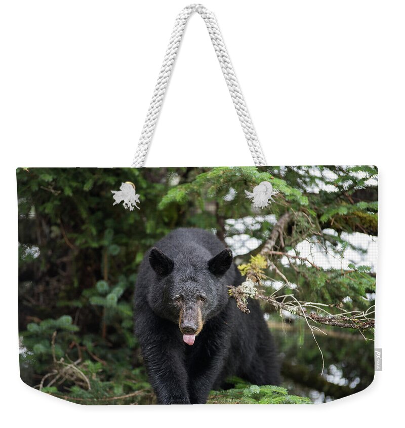 Black Bear Weekender Tote Bag featuring the photograph Bear Tongue by David Kirby
