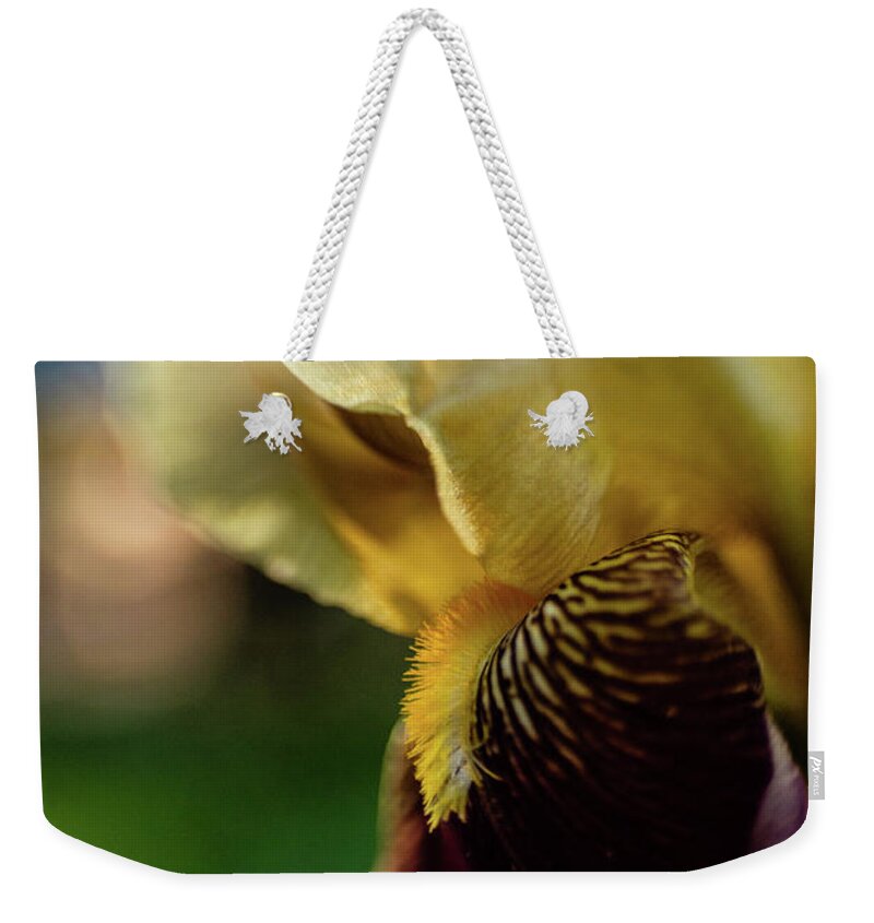  Iris Weekender Tote Bag featuring the photograph Bearded Iris by Pamela Taylor