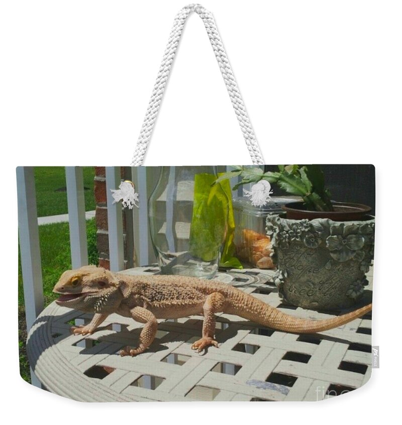Bearded Dragon Weekender Tote Bag featuring the photograph Beardie by Brianna Kelly