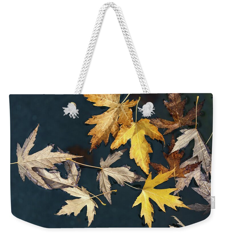 Fall Weekender Tote Bag featuring the photograph Beauties Of the Autumn by Jonathan Nguyen
