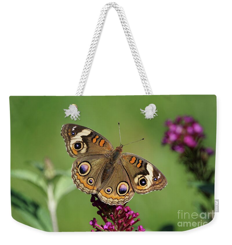 Butterfly Weekender Tote Bag featuring the photograph Beautiful Buckeye Butterfly by Robert E Alter Reflections of Infinity