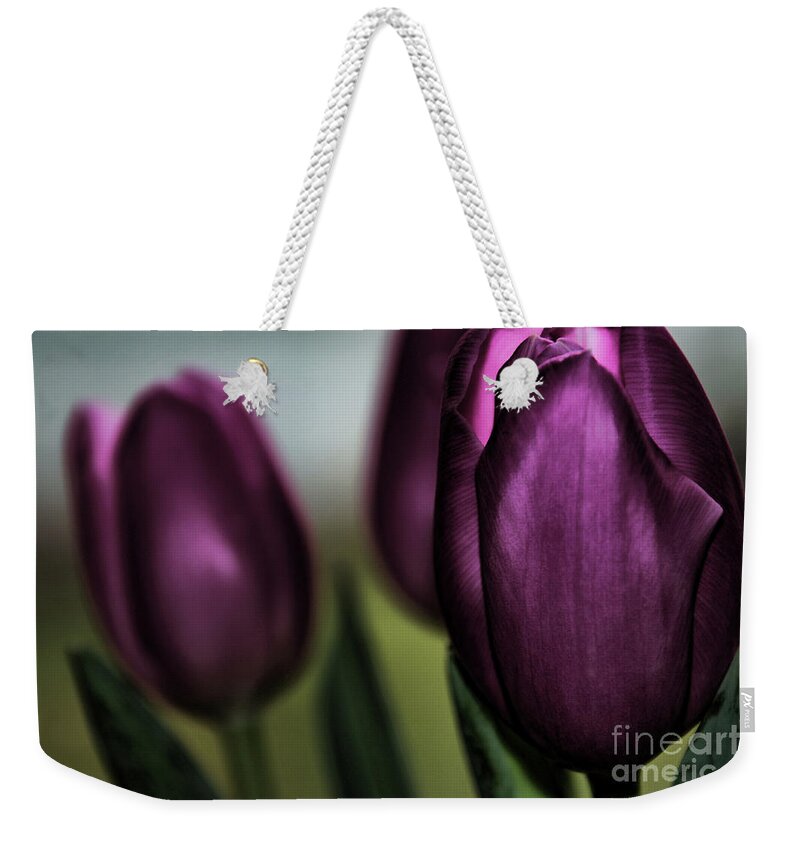 Tulip Weekender Tote Bag featuring the photograph Beautiful Dream by Cheryl Rose