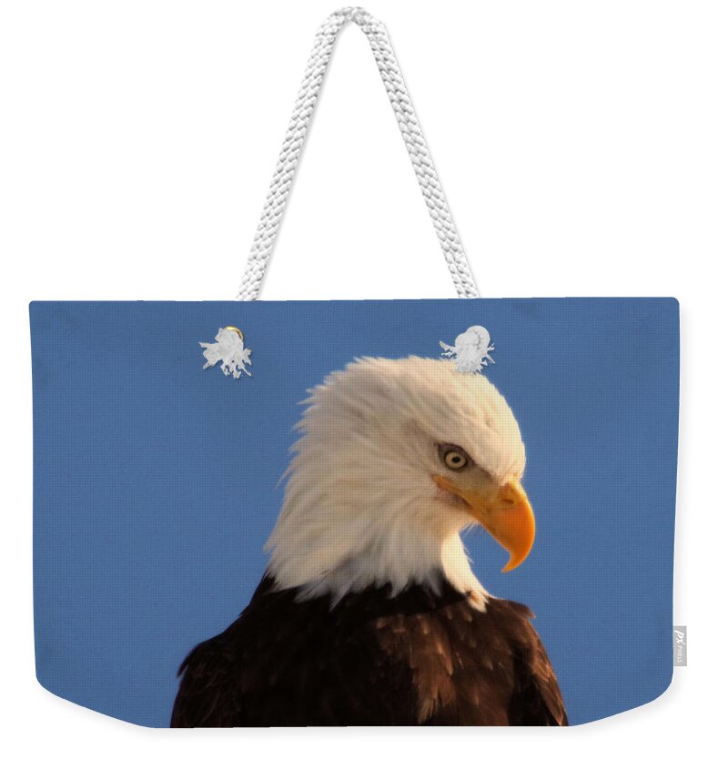 Eagle Weekender Tote Bag featuring the photograph Beautiful Eagle by Jeff Swan