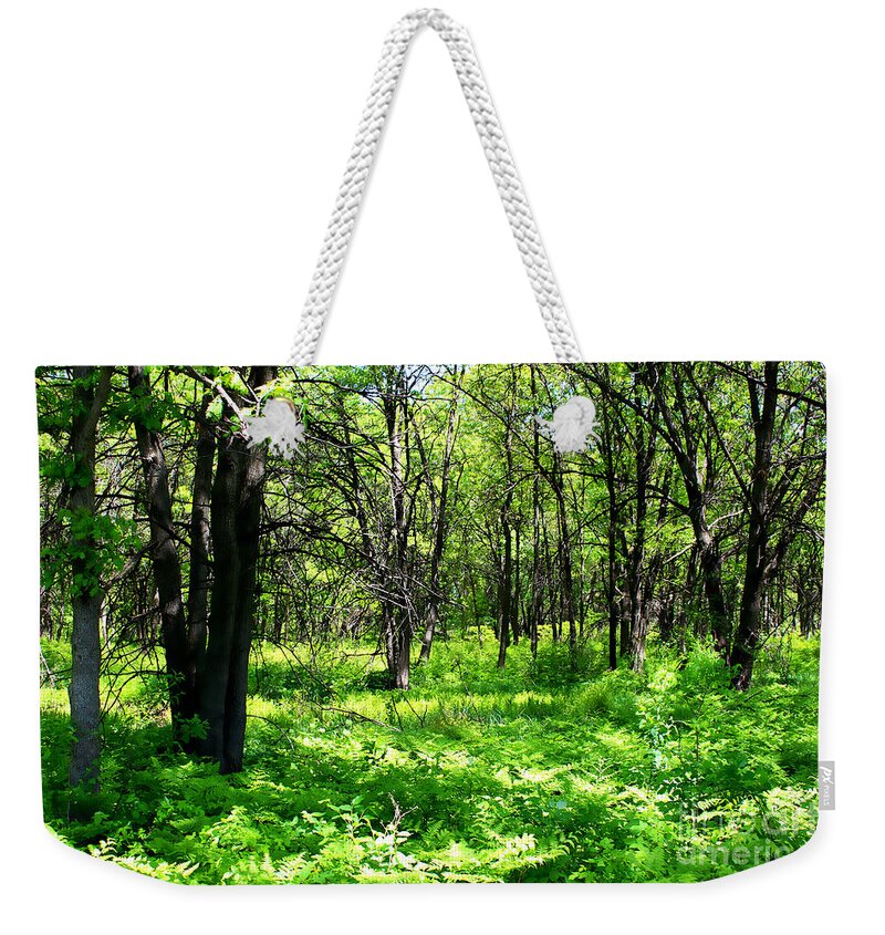 Forest Weekender Tote Bag featuring the photograph Beautiful Forest by Verana Stark