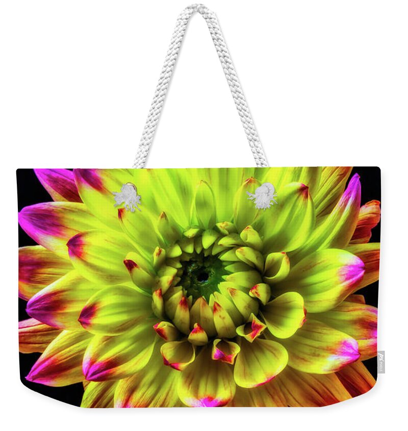 Color Weekender Tote Bag featuring the photograph Beautiful Graphic Dahlia by Garry Gay