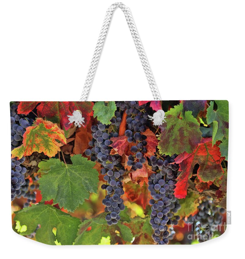 Wine Weekender Tote Bag featuring the photograph Beautiful Harvest Vineyard by Stephanie Laird