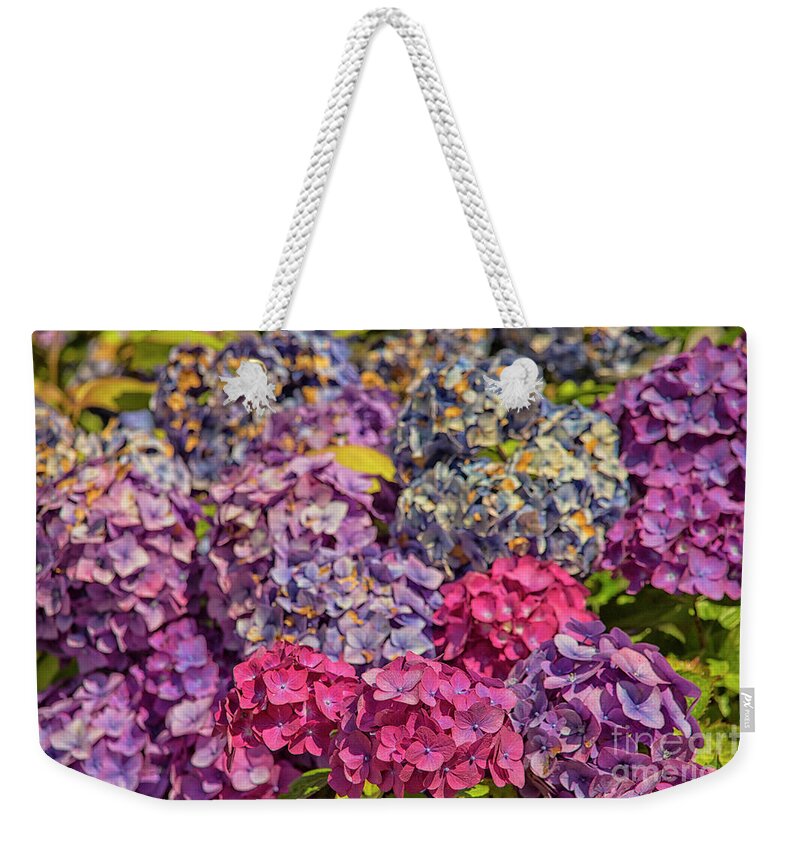Summer Weekender Tote Bag featuring the photograph Beautiful hydrangea by Patricia Hofmeester