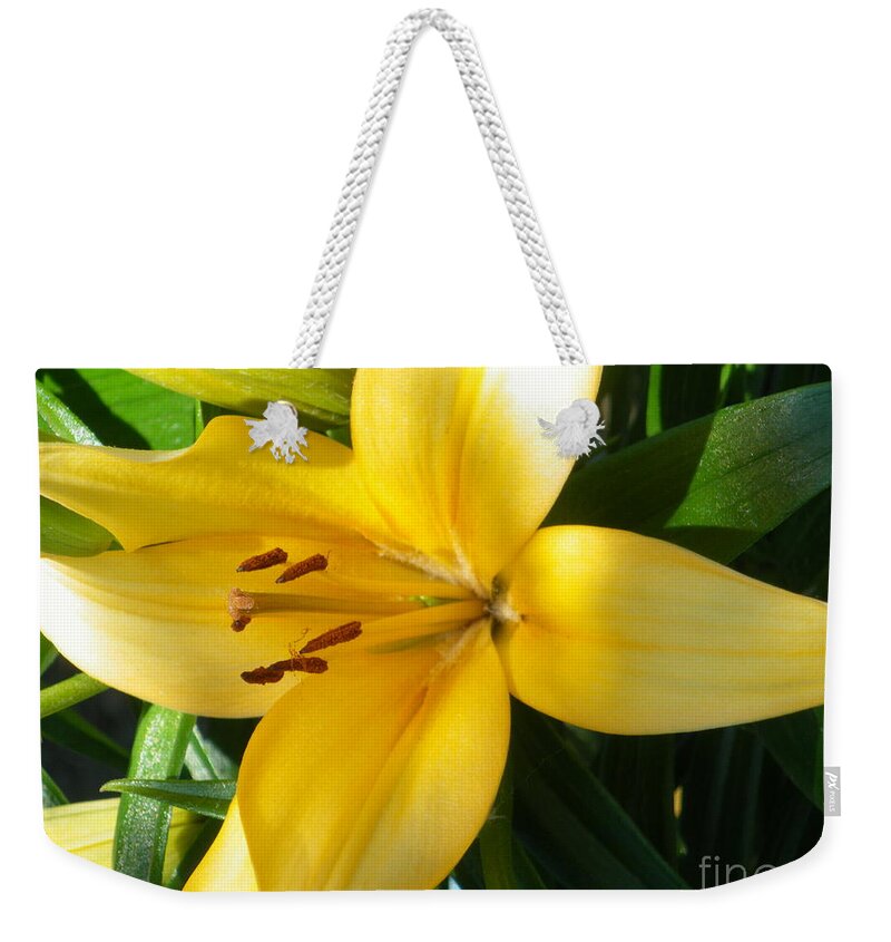  Weekender Tote Bag featuring the photograph Beautiful Lily I by Sonya Chalmers