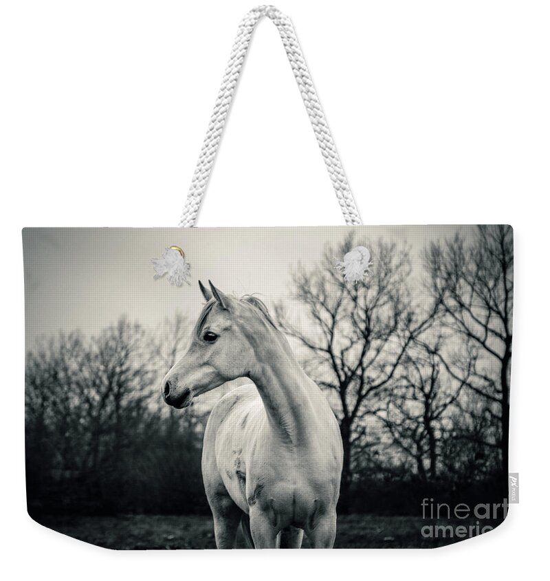 Horse Weekender Tote Bag featuring the photograph Beautiful Lonely White Horse III by Dimitar Hristov