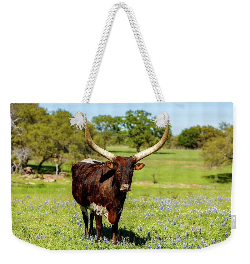 African Breed Weekender Tote Bag featuring the photograph Beautiful longhorn bull by Raul Rodriguez