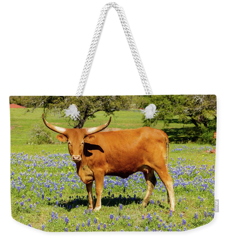 African Breed Weekender Tote Bag featuring the photograph Beautiful longhorn cow by Raul Rodriguez