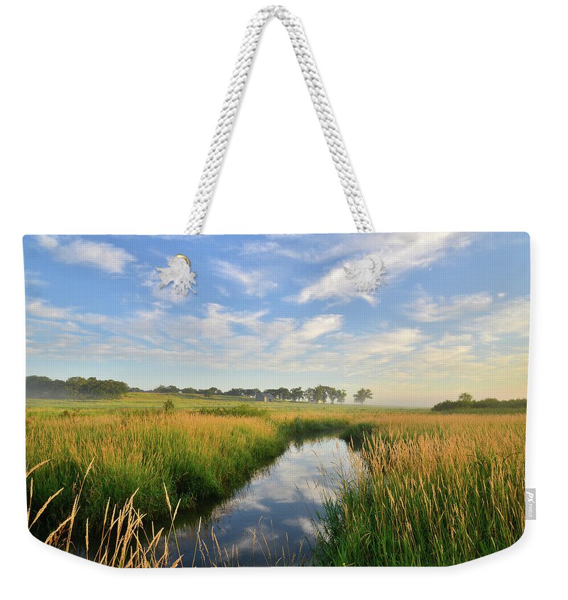 Illinois Weekender Tote Bag featuring the photograph Beautiful Wetlands in Glacial Park by Ray Mathis