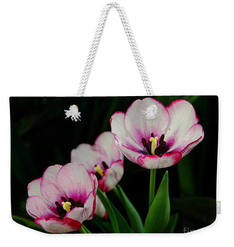 Flowers Weekender Tote Bag featuring the photograph Beauty Abounds by Allen Nice-Webb