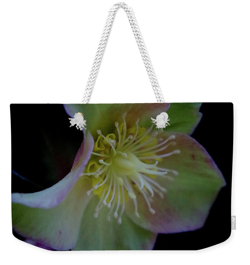 Flower Weekender Tote Bag featuring the photograph Beauty Awakens by Bess Carter