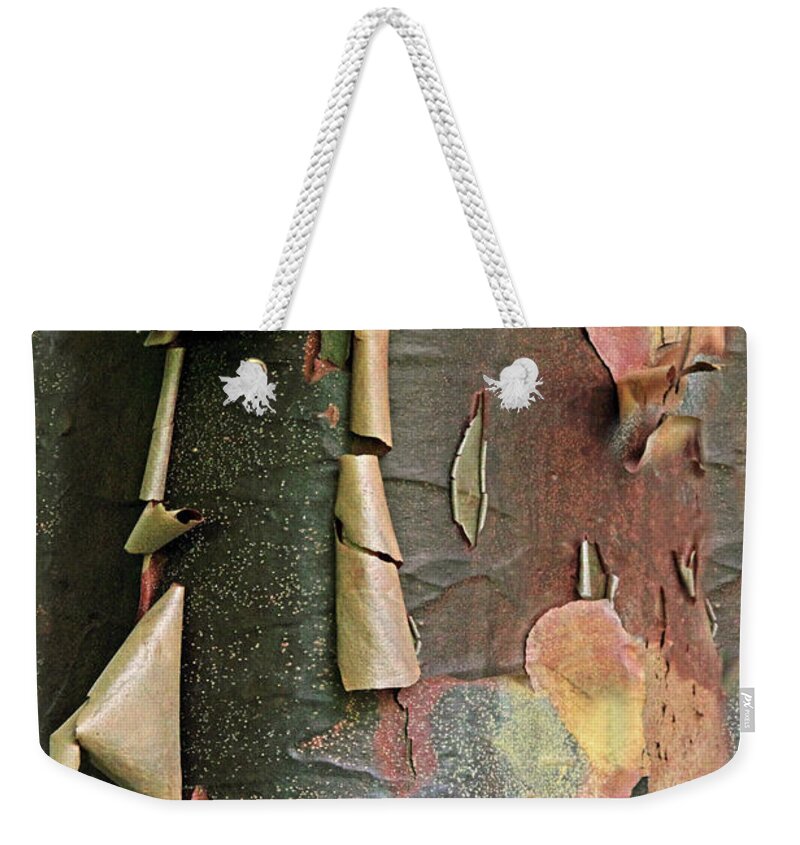 Tree Weekender Tote Bag featuring the photograph Beauty in Bark by Jessica Jenney