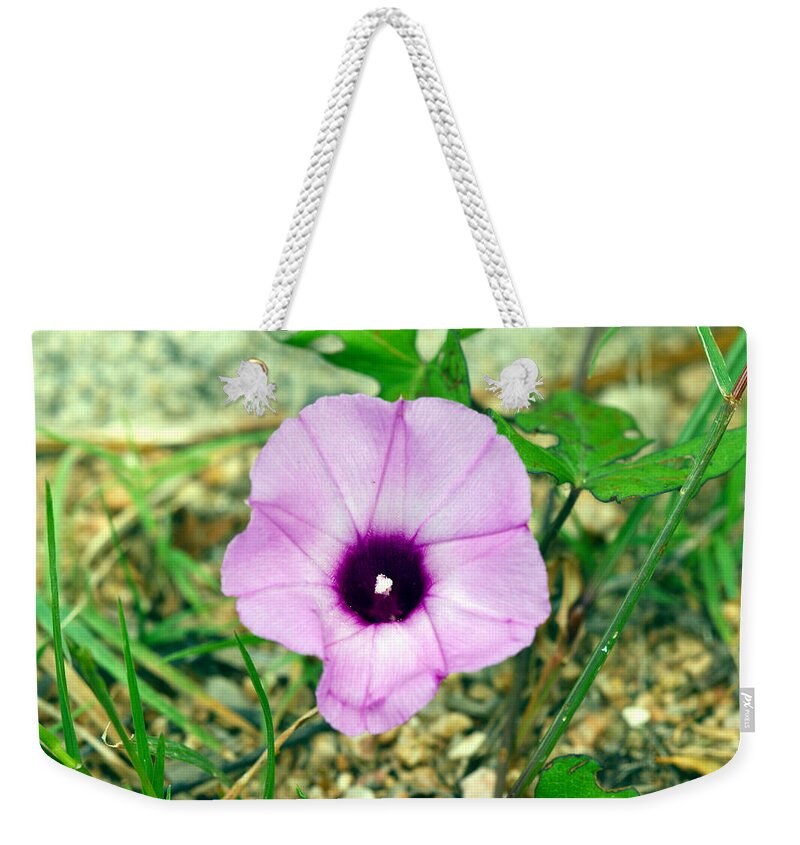 Purple Weekender Tote Bag featuring the photograph Beauty in the rough by James Smullins