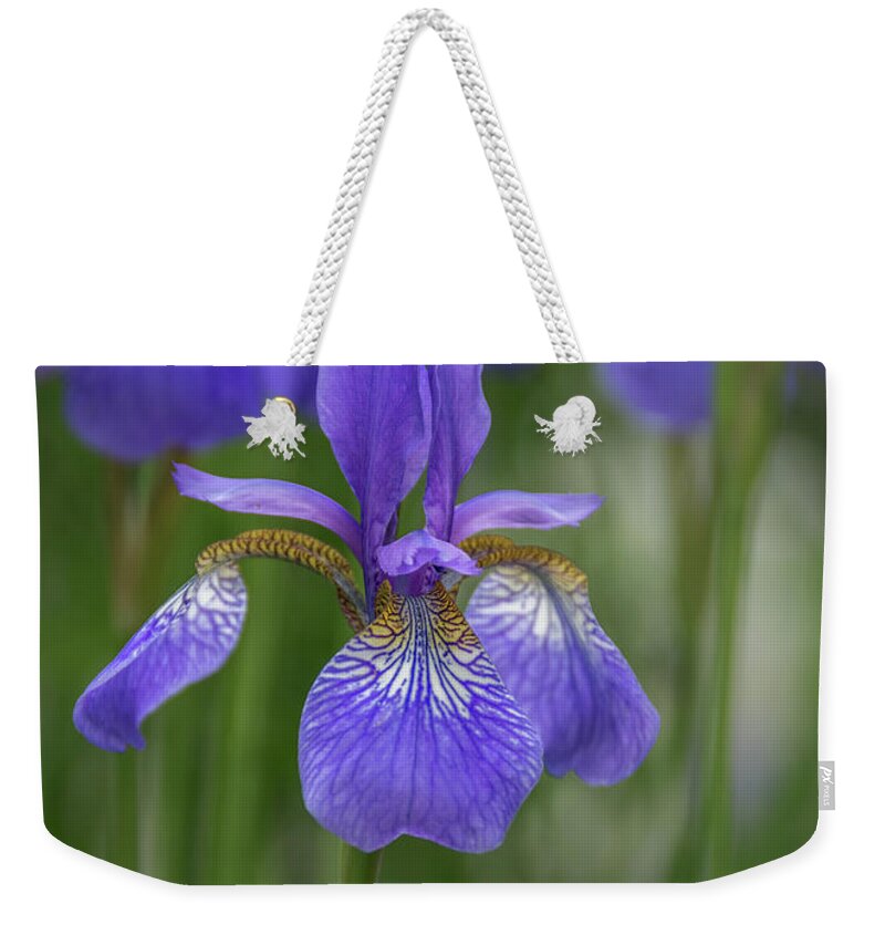 Beauty Of An Iris Weekender Tote Bag featuring the photograph Beauty of an Iris by Debra Martz