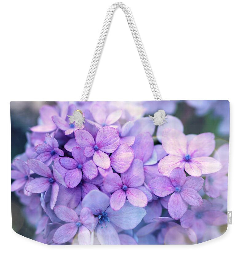 Beautiful Weekender Tote Bag featuring the photograph Beauty of hydrangea by Lilia D