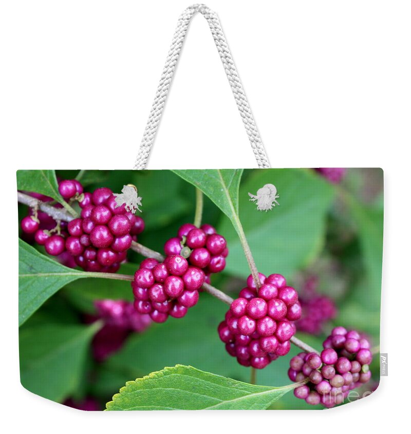 Beautyberry Bush Weekender Tote Bag featuring the photograph Beautyberry Bush by Carol Groenen