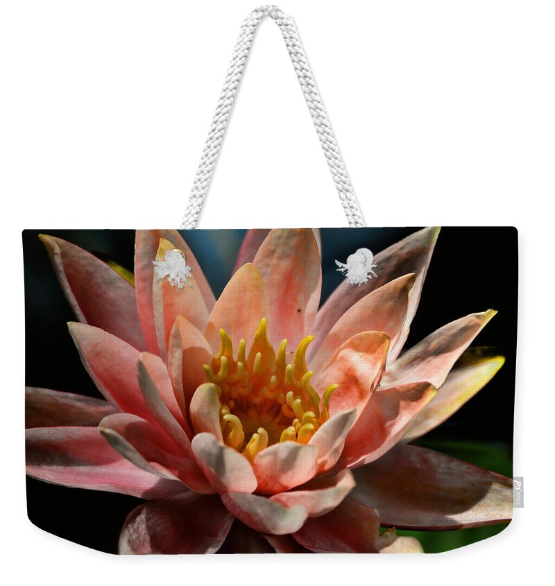 Water Lily Weekender Tote Bag featuring the photograph Beckoning The Sun Water Lily by Lesa Fine