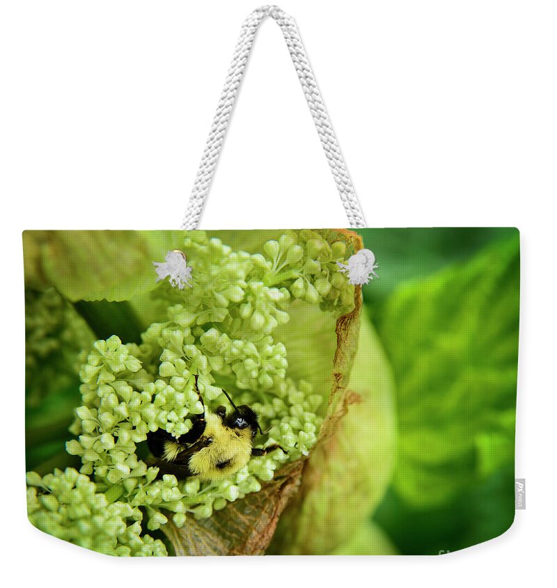 Bee Weekender Tote Bag featuring the photograph Bee at Work by Alana Ranney