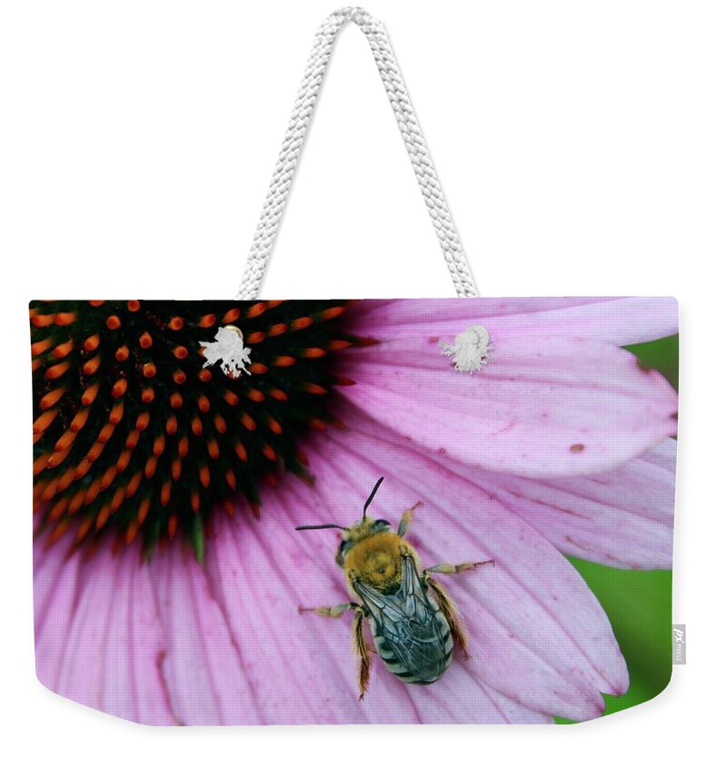 Photograph Weekender Tote Bag featuring the photograph Bee Delight on a Purple Cone Flower by M E