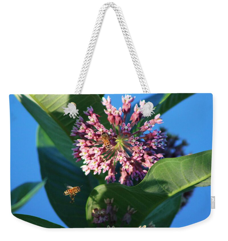 Bee Weekender Tote Bag featuring the photograph Bee Flying to Milkweed in Elgin Illinois by Colleen Cornelius