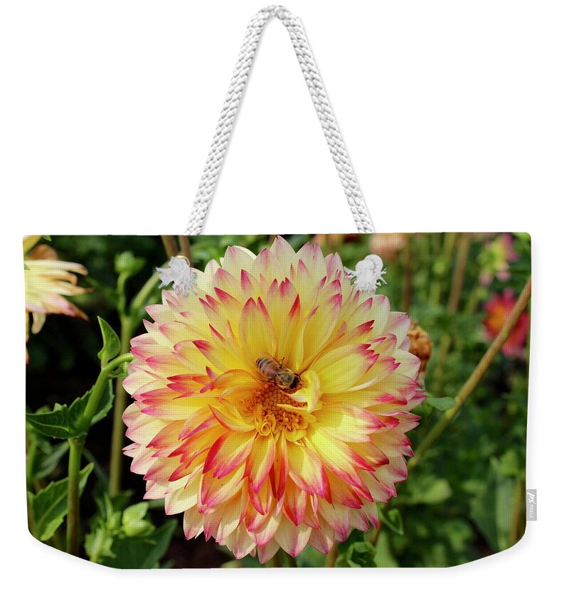 Bee Weekender Tote Bag featuring the photograph Bee In The Middle by Brian Eberly