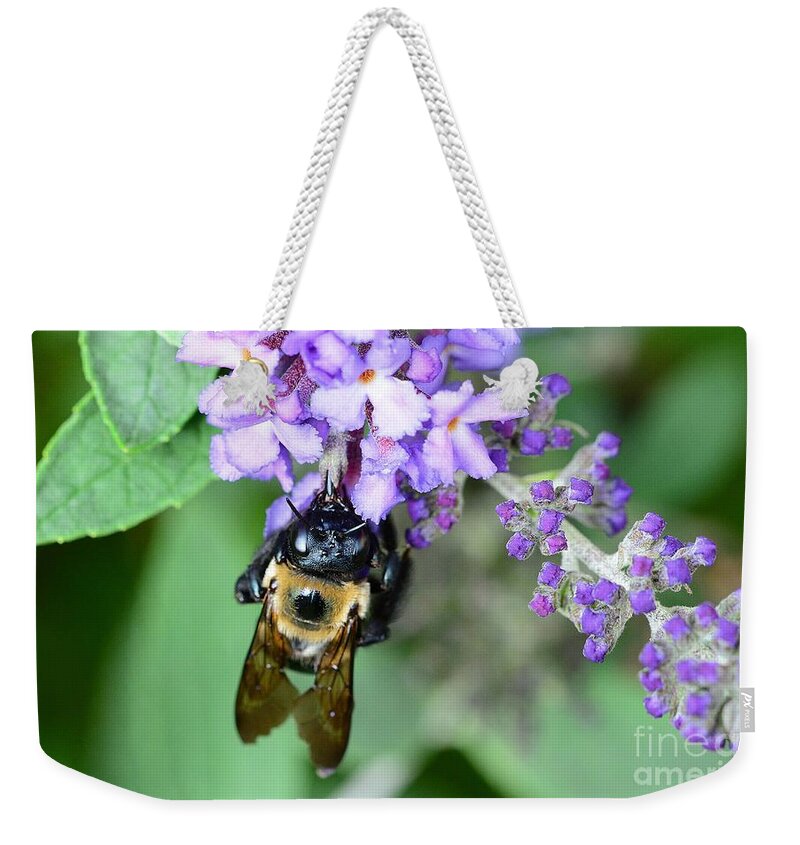 Bee Weekender Tote Bag featuring the photograph Bee-Lieve by Cindy Manero