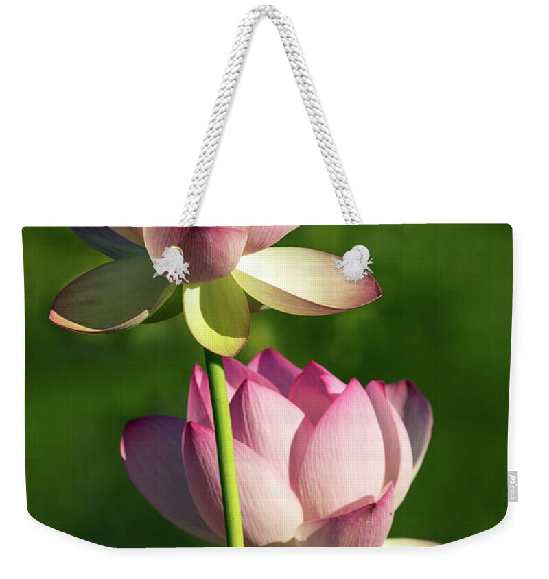 Lotus Weekender Tote Bag featuring the photograph Bee Makes Three by Art Cole