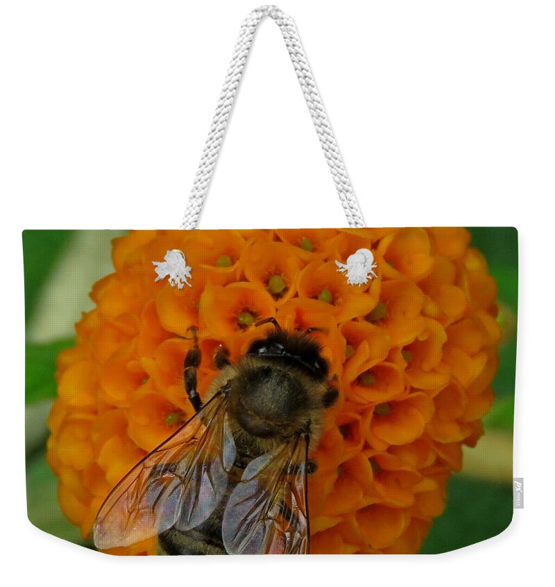 Bee Weekender Tote Bag featuring the photograph Bee on an Orange Ball Buddleia by John Topman