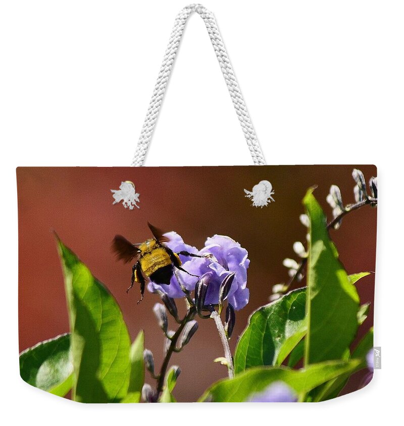 Linda Brody Weekender Tote Bag featuring the photograph BumbleBee on Duranta Repens Sapphire 1 by Linda Brody