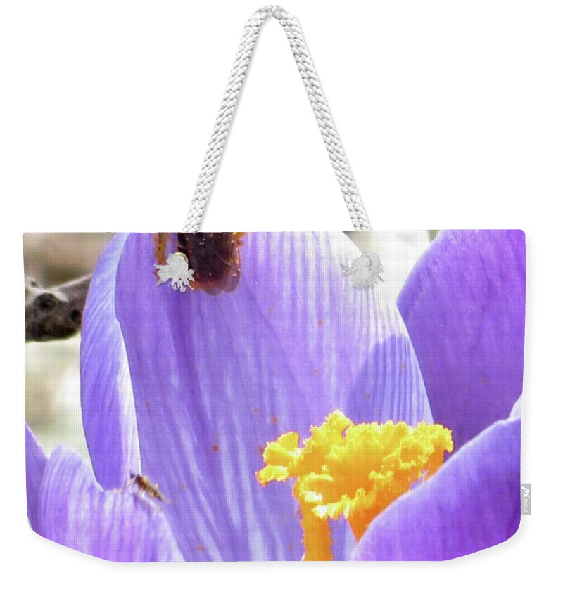 Bee Weekender Tote Bag featuring the photograph Bee Pollen by Azthet Photography